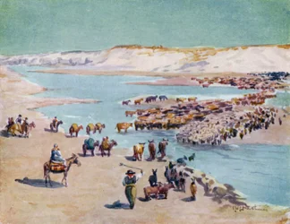 Chilenos Trekking Across the Frontier